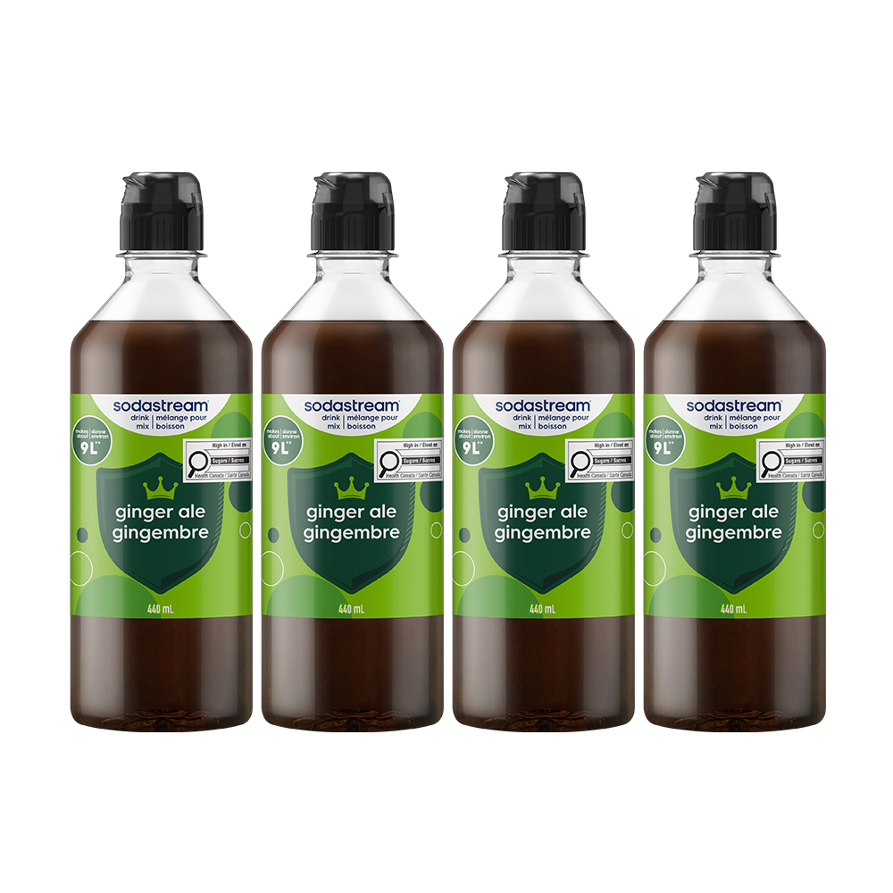 Ginger Ale Drink Mix 440ml 4-Pack