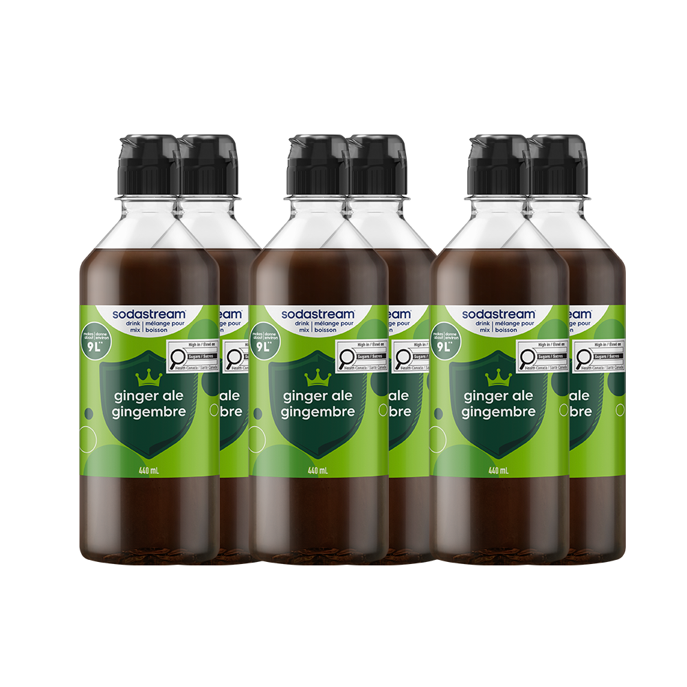 Ginger Ale Drink Mix 440ml 6-Pack